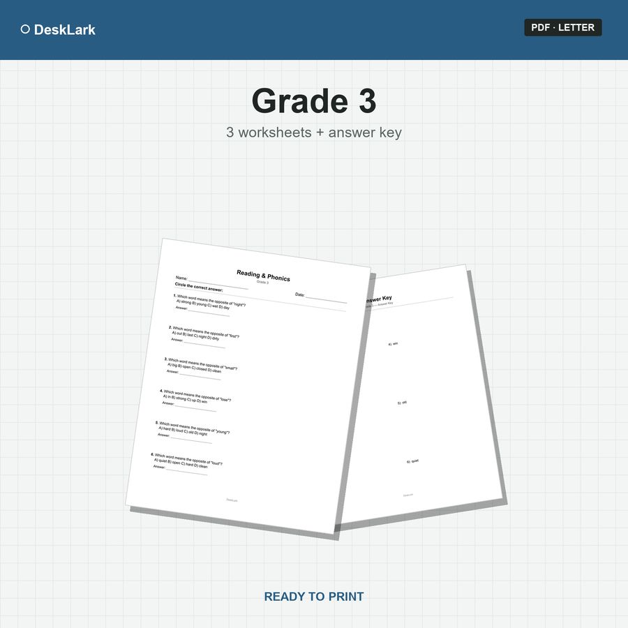 Grade 3 Reading & Phonics Worksheets